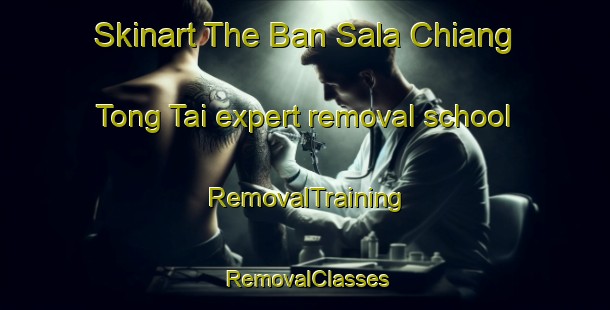 Skinart The Ban Sala Chiang Tong Tai expert removal school | RemovalTraining | RemovalClasses | SkinartTraining-Thailand