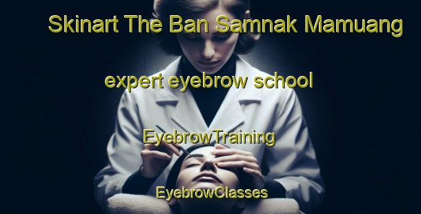 Skinart The Ban Samnak Mamuang expert eyebrow school | EyebrowTraining | EyebrowClasses | SkinartTraining-Thailand