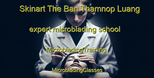 Skinart The Ban Thamnop Luang expert microblading school | #MicrobladingTraining #MicrobladingClasses #SkinartTraining-Thailand