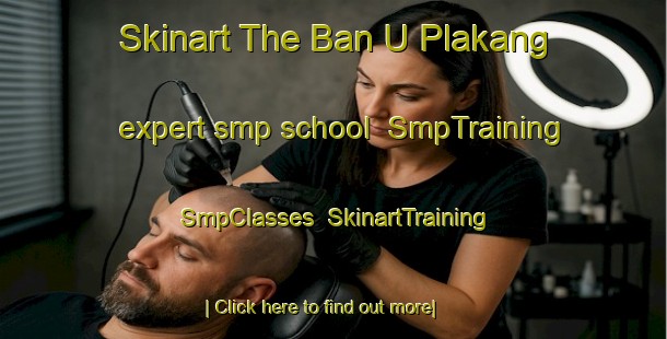 Skinart The Ban U Plakang expert smp school | SmpTraining | SmpClasses | SkinartTraining-Thailand