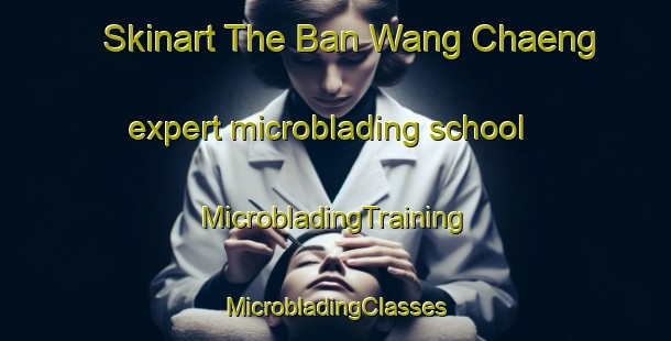 Skinart The Ban Wang Chaeng expert microblading school | #MicrobladingTraining #MicrobladingClasses #SkinartTraining-Thailand