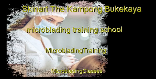 Skinart The Kampong Bukekaya microblading training school | MicrobladingTraining | MicrobladingClasses | SkinartTraining-Thailand