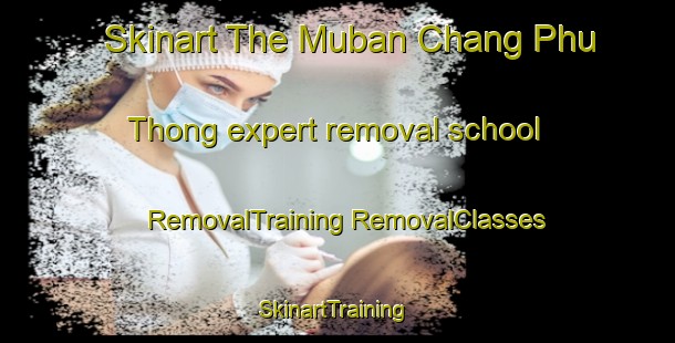 Skinart The Muban Chang Phu Thong expert removal school | #RemovalTraining #RemovalClasses #SkinartTraining-Thailand