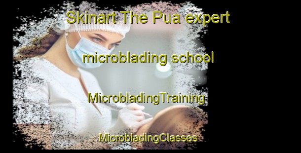 Skinart The Pua expert microblading school | MicrobladingTraining | MicrobladingClasses | SkinartTraining-Thailand