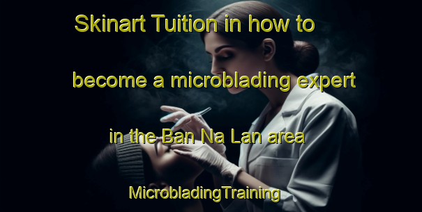 Skinart Tuition in how to become a microblading expert in the Ban Na Lan area | MicrobladingTraining | MicrobladingClasses | SkinartTraining-Thailand