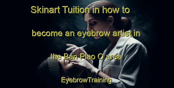 Skinart Tuition in how to become an eyebrow artist in the Ban Plao O area | EyebrowTraining | EyebrowClasses | SkinartTraining-Thailand