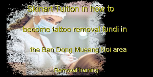 Skinart Tuition in how to become tattoo removal fundi in the Ban Dong Mueang Noi area | RemovalTraining | RemovalClasses | SkinartTraining-Thailand