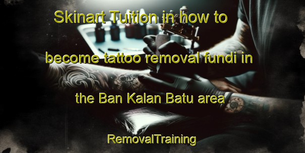 Skinart Tuition in how to become tattoo removal fundi in the Ban Kalan Batu area | RemovalTraining | RemovalClasses | SkinartTraining-Thailand