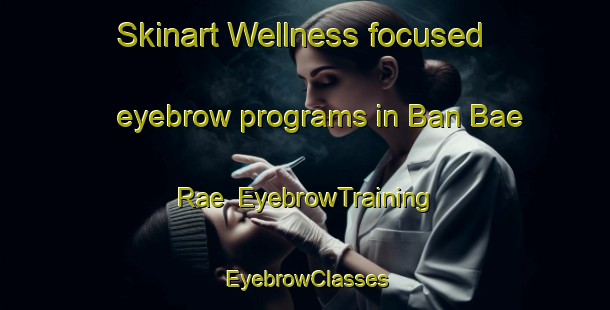 Skinart Wellness-focused eyebrow programs in Ban Bae Rae | EyebrowTraining | EyebrowClasses | SkinartTraining-Thailand