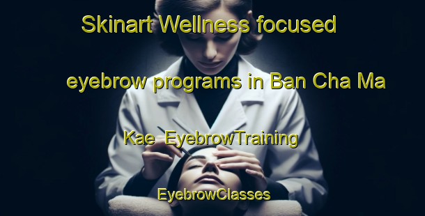 Skinart Wellness-focused eyebrow programs in Ban Cha Ma Kae | EyebrowTraining | EyebrowClasses | SkinartTraining-Thailand