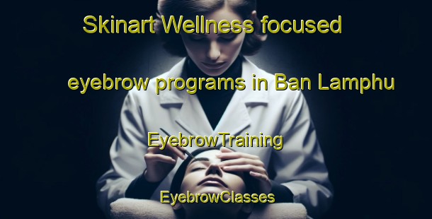 Skinart Wellness-focused eyebrow programs in Ban Lamphu | EyebrowTraining | EyebrowClasses | SkinartTraining-Thailand