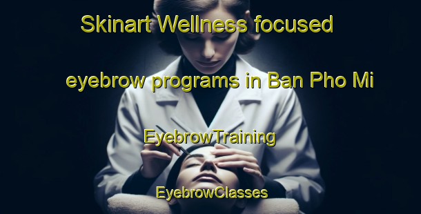 Skinart Wellness-focused eyebrow programs in Ban Pho Mi | EyebrowTraining | EyebrowClasses | SkinartTraining-Thailand