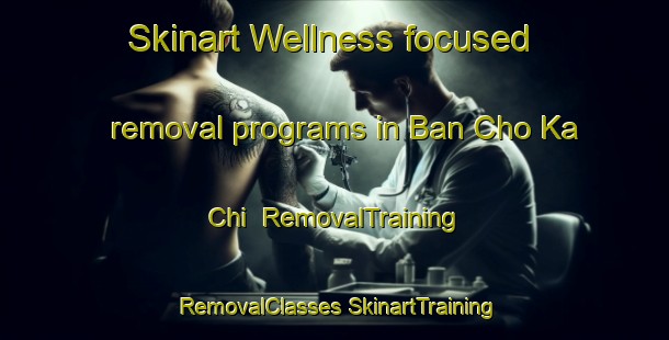 Skinart Wellness-focused removal programs in Ban Cho Ka Chi | #RemovalTraining #RemovalClasses #SkinartTraining-Thailand