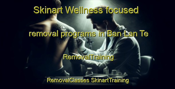 Skinart Wellness-focused removal programs in Ban Lan Te | #RemovalTraining #RemovalClasses #SkinartTraining-Thailand