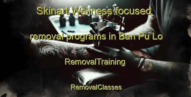 Skinart Wellness-focused removal programs in Ban Pu Lo | RemovalTraining | RemovalClasses | SkinartTraining-Thailand