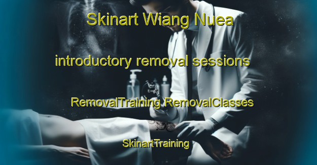 Skinart Wiang Nuea introductory removal sessions | #RemovalTraining #RemovalClasses #SkinartTraining-Thailand