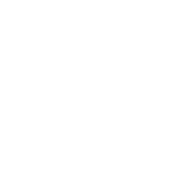 Legal Requirements Icon